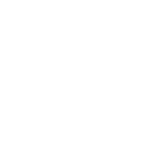 Seguridad SPRL